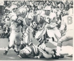 8e75d553fa1aaf4538436a1bda4a8b0a2ceba22f1-300x221