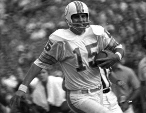 ap_dolphins_071221_ssh-300x232