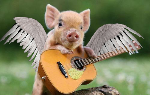 AccousticPiggy
