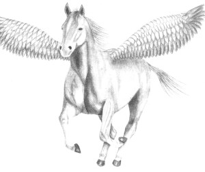 pegasus