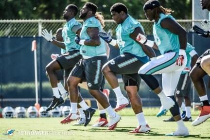 Dolphins 2015 Draftees