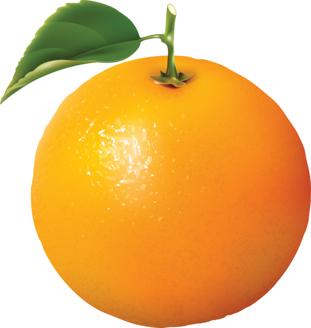 orange-06