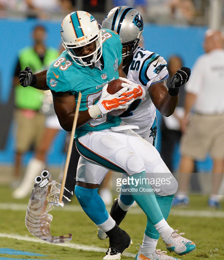 The Miami Dolphins' Matt Hazel (83) scores a touchdown past the Carolina Panthers' Adarius Glanton (57) in the second half of preseason action at Bank of America Stadium in Charlotte, N.C., on Saturday, Aug. 22, 2015. The Panthers won, 31-30. (David T. Foster III/Charlotte Observer/TNS)