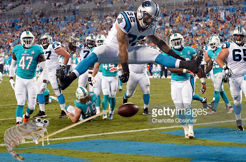 The Carolina Panthers' Brandon Wegher (32) scores a touchdown past the Miami Dolphins defense in the third quarter of preseason action at Bank of America Stadium in Charlotte, N.C., on Saturday, Aug. 22, 2015. The Panthers won, 31-30. (David T. Foster III/Charlotte Observer/TNS)