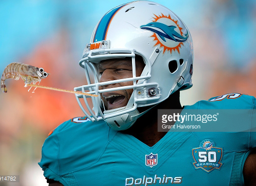 CHARLOTTE, NC - AUGUST 22: Ndamukong Suh #93 of the Miami Dolphins warms up during their preseason NFL game against the Carolina Panthers at Bank of America Stadium on August 22, 2015 in Charlotte, North Carolina. (Photo by Grant Halverson/Getty Images)