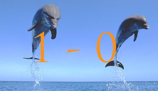 A20337 Bottlenose Dolphin Tursiops truncatus jumping