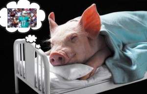 PiggyDreamsTanny