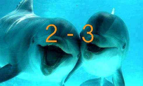 Dolphins2-3