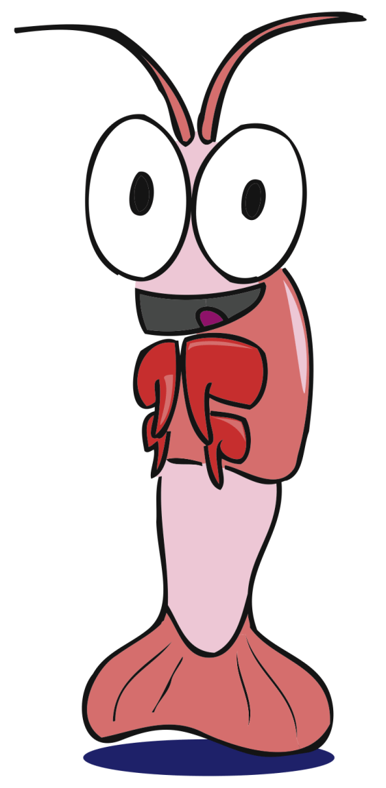 cute_shrimp