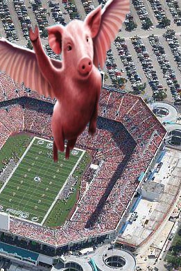 PiggyStadium