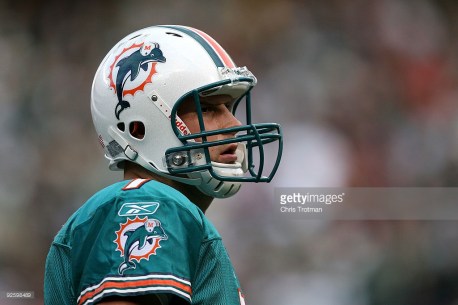 <> at Giants Stadium on November 1, 2009 in East Rutherford, New Jersey.