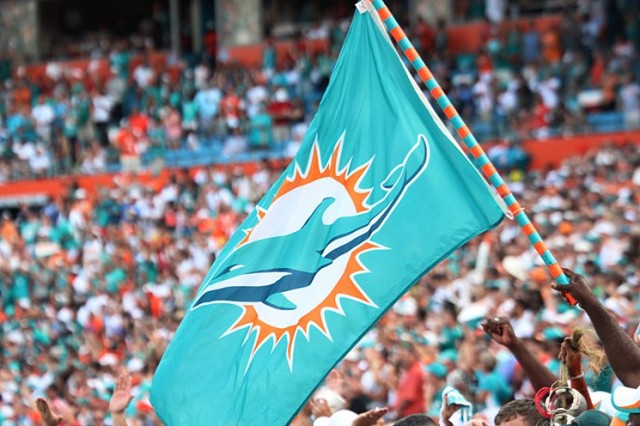 dolphins_flag