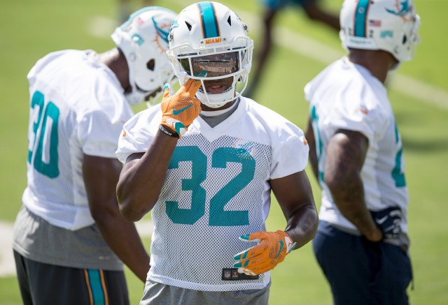 061516 spt dolphins 014