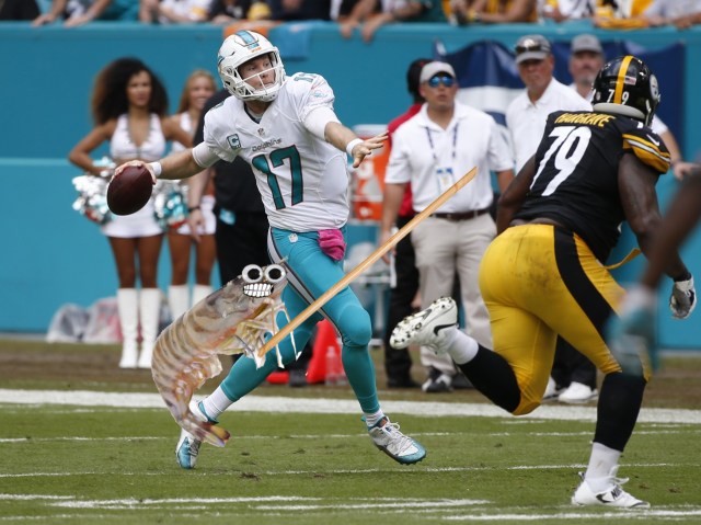 tanny-v-steelers-copy