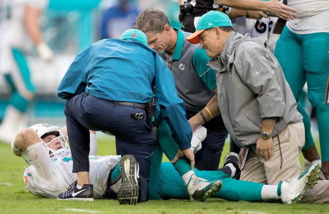 121116-spt-dolphins-ae-023