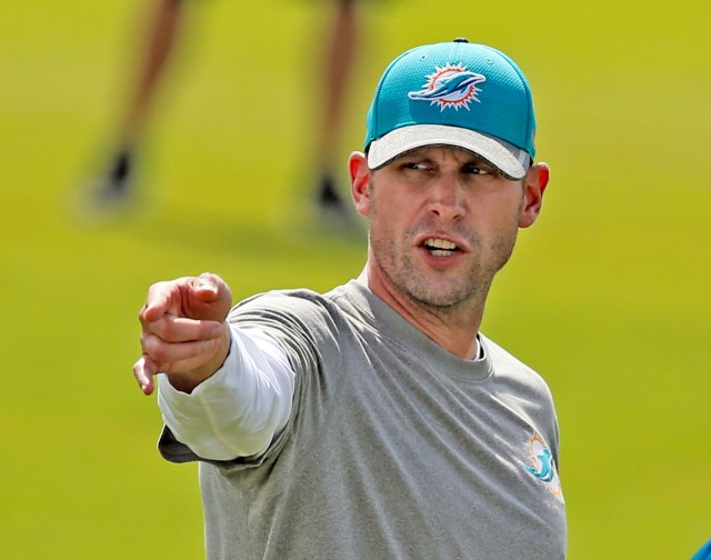 Miami Dolphins mini camp